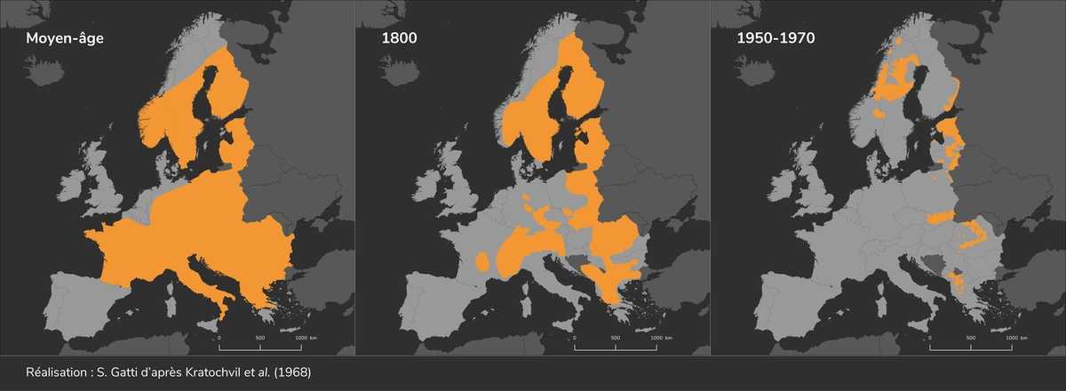 Évolution de la présence du Lynx boréal en Europe du Moyen Âge au milieu du 20ème siècle